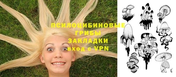 трава Беломорск