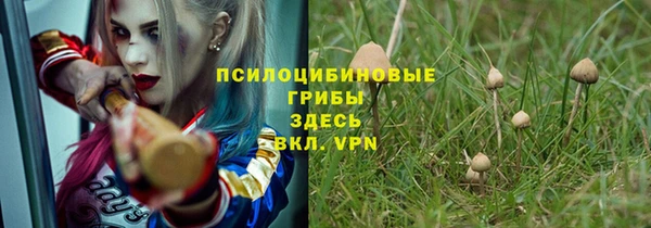 трава Беломорск
