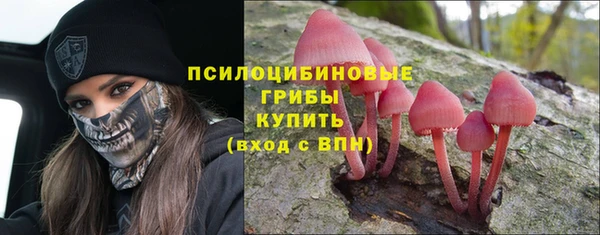 трава Беломорск
