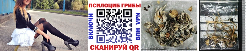 магазин продажи   Видное  Галлюциногенные грибы мухоморы 